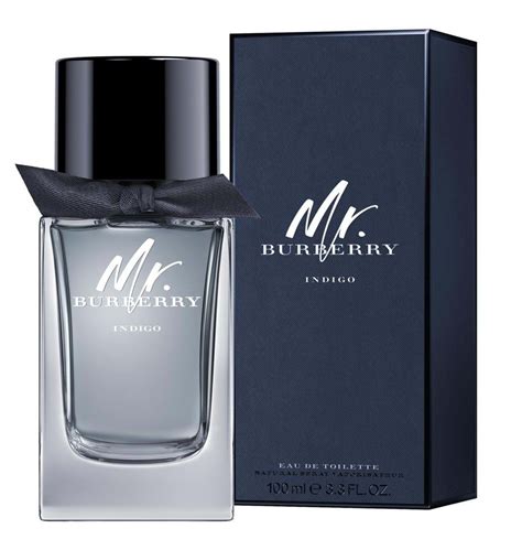 mr burberry profumo 30ml|burberry cologne for men.